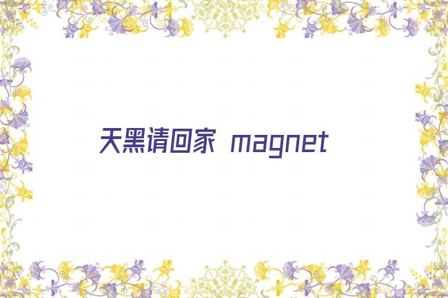 天黑请回家 magnet剧照